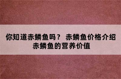 你知道赤鳞鱼吗？ 赤鳞鱼价格介绍 赤鳞鱼的营养价值